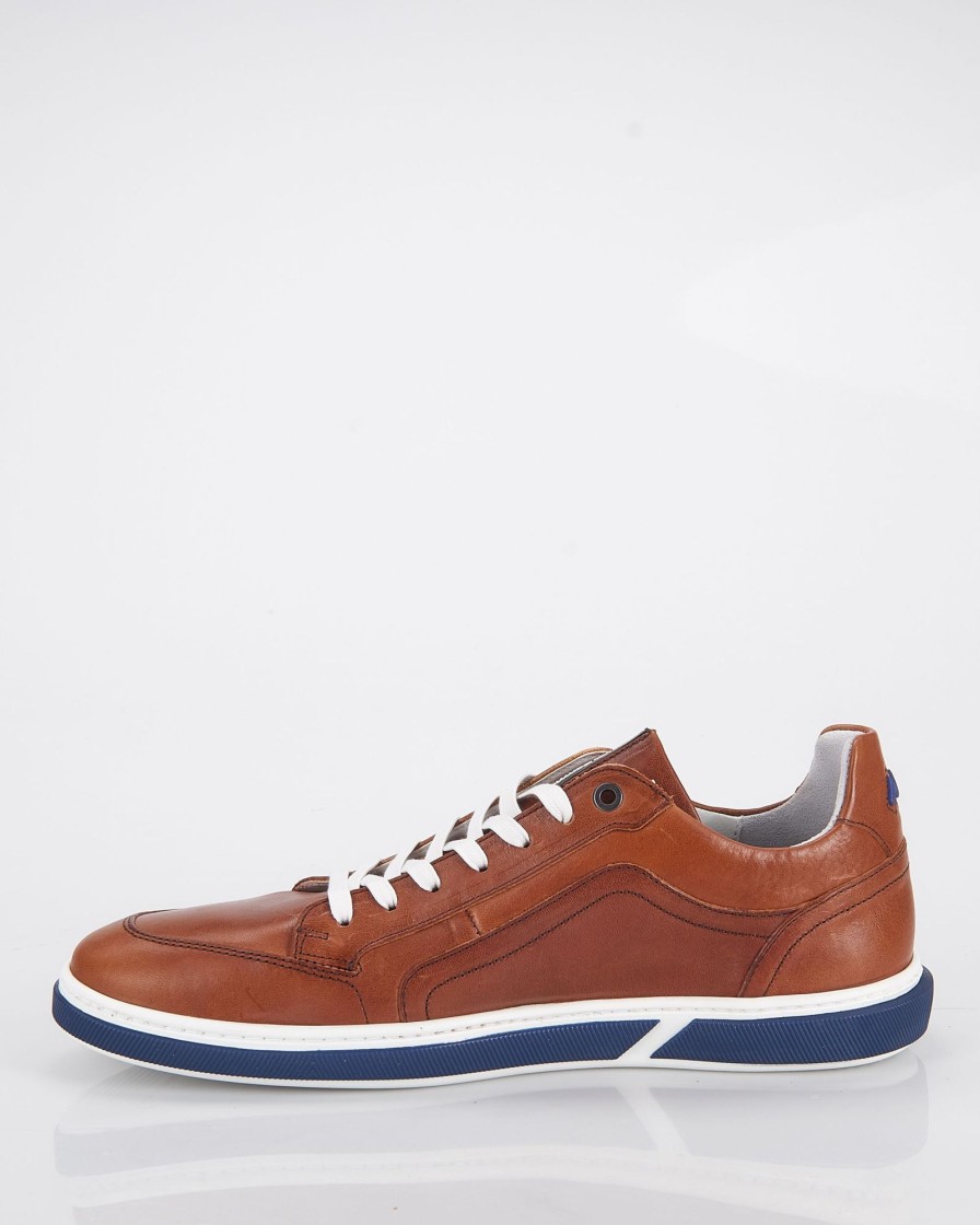 Herenschoenen Floris van Bommel | Floris Van Bommel Casual Schoenen