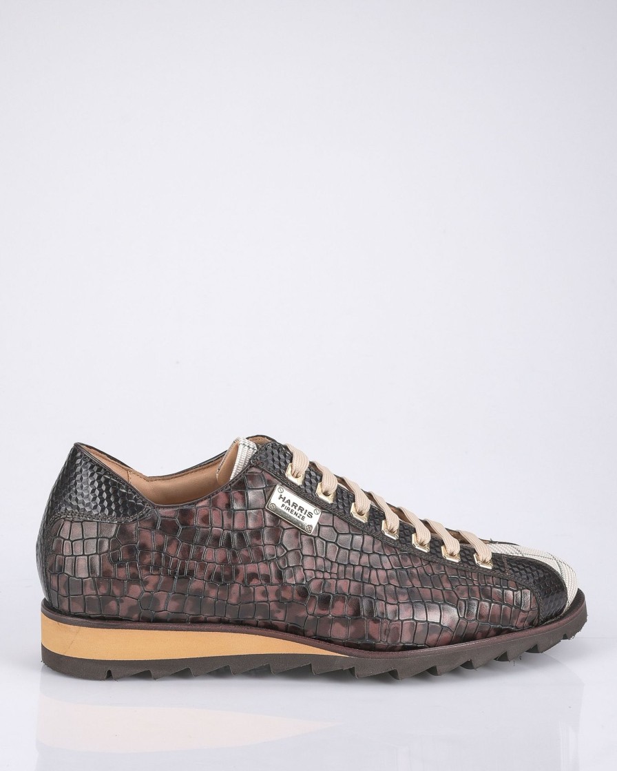 Herenschoenen Harris | Harris Sneakers